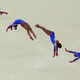 Image for article titled All the ways Simone Biles won our hearts at the Rio Olympics